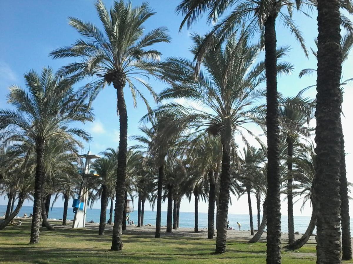 Estudio Costa Del Sol - Torremolinos Kültér fotó